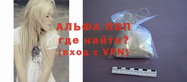 прущие грибы Баксан