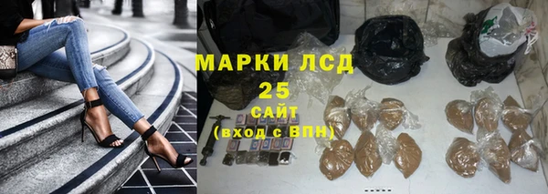 прущие грибы Баксан