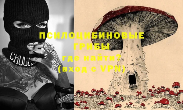 прущие грибы Баксан