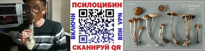 Купить закладки  Мыски  Псилоцибиновые грибы ЛСД 